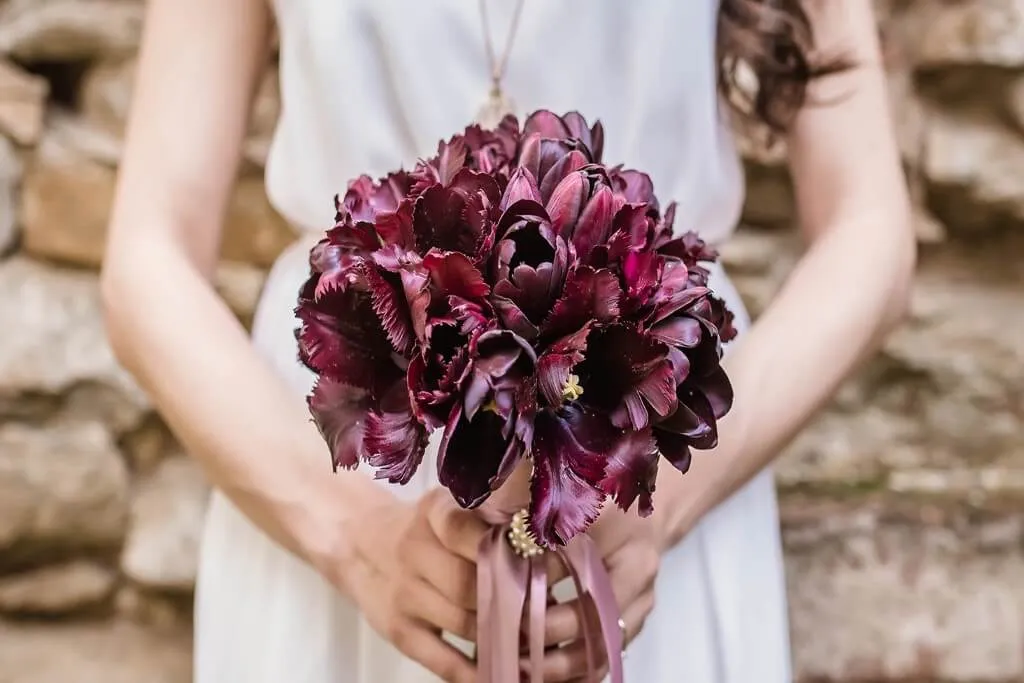 Kvareli-Lake-Resort-Wedding (3)