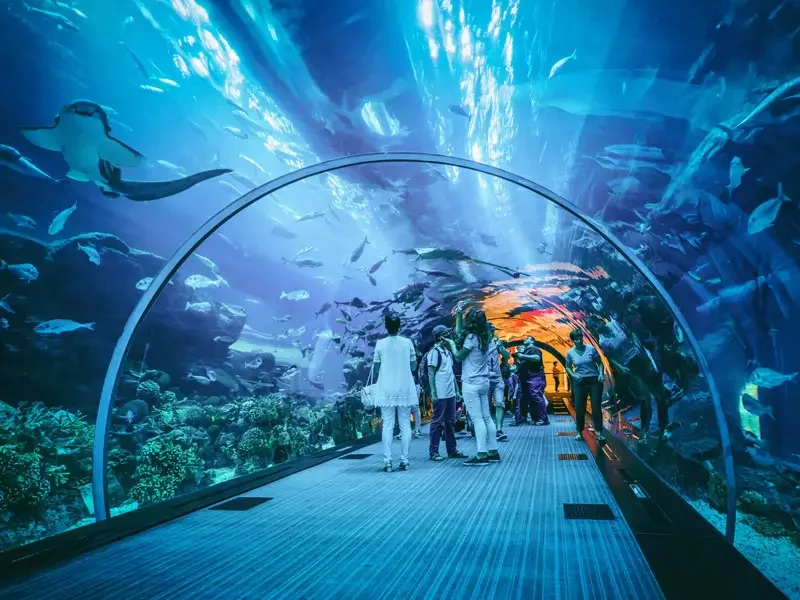 Aquarium kuala lumpur