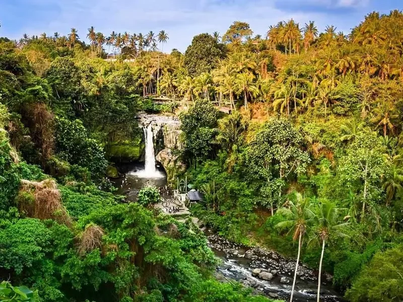 BALI WATERFALL TOUR
